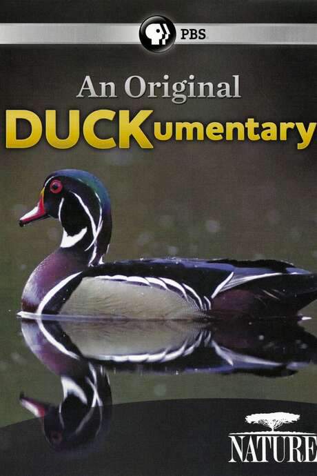 PBS Nature - An Original DUCKumentary